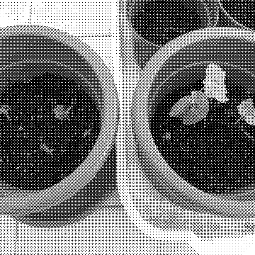 Capuchina sprouts in two pots